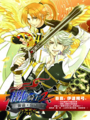 cover image of 闇騎士Ⅱ12(END)